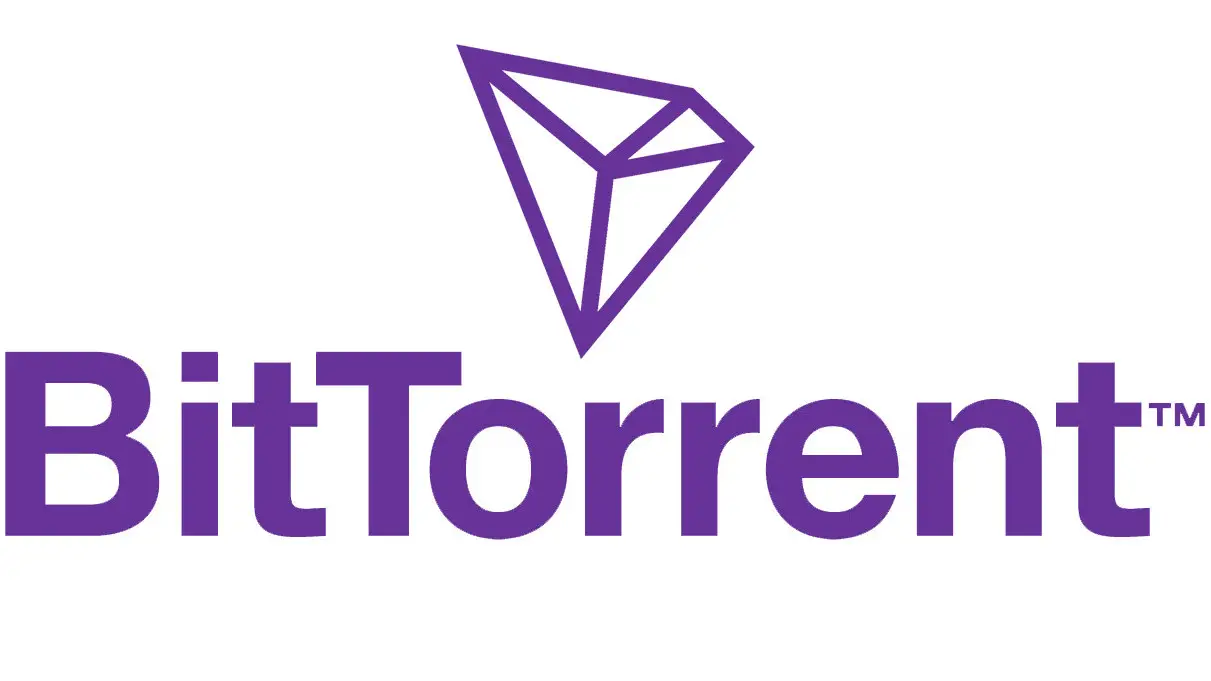 What is Torrenting